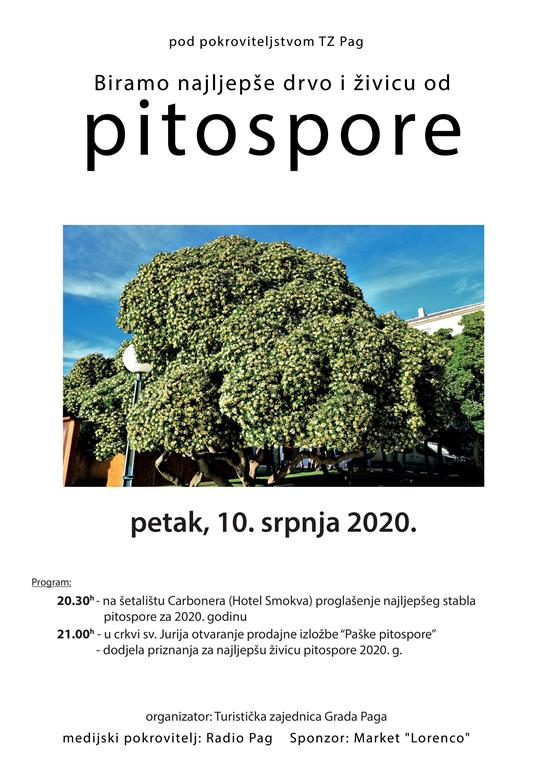 Plakat pitospora 1