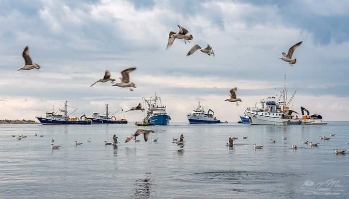 U Novalji ce se izgraditi nova ribarska luka