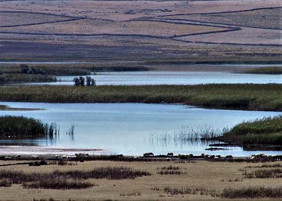 30 godina od proglašenja ornitoloških rezervata