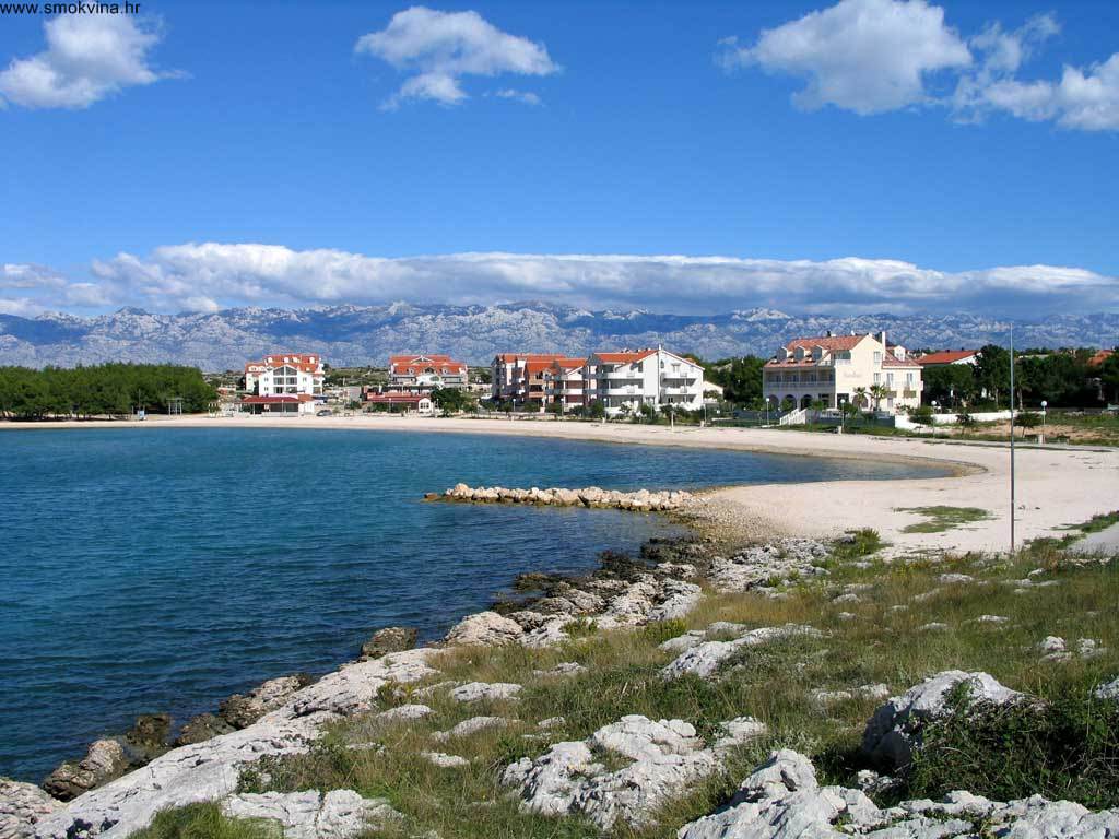 Povljana: 1. Smotra vina Gegić otoka Paga