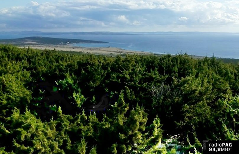 Hrvatske šume objavile Javni poziv za zakup šumskog zemljišta