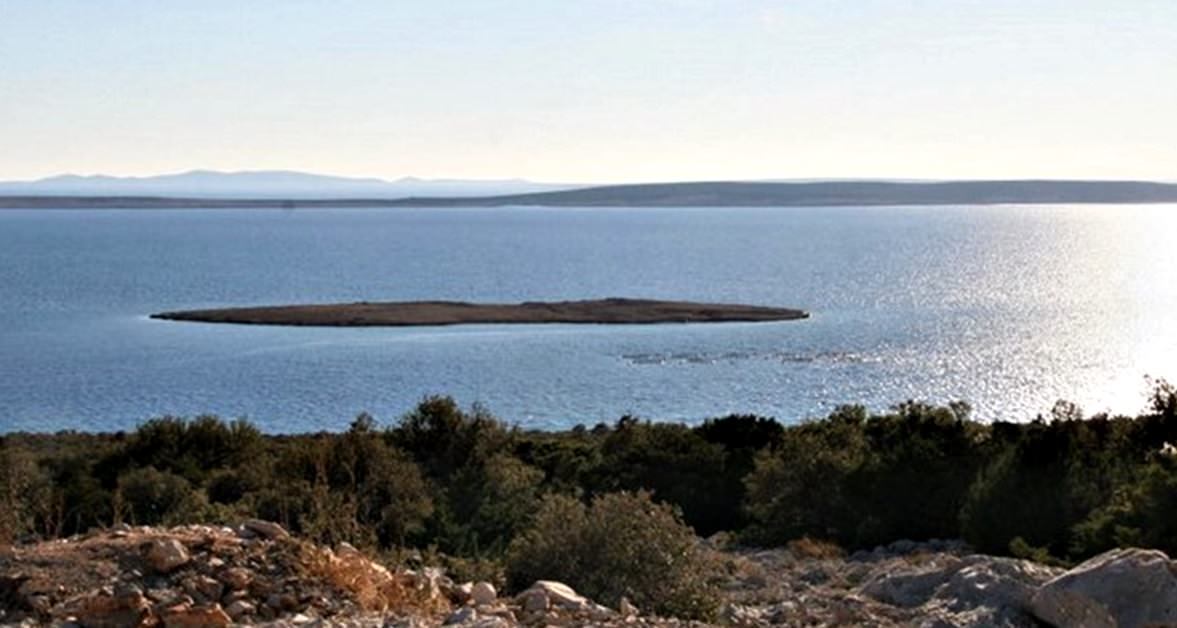 Na otoku Pagu ugrožene su 33 vrste biljaka