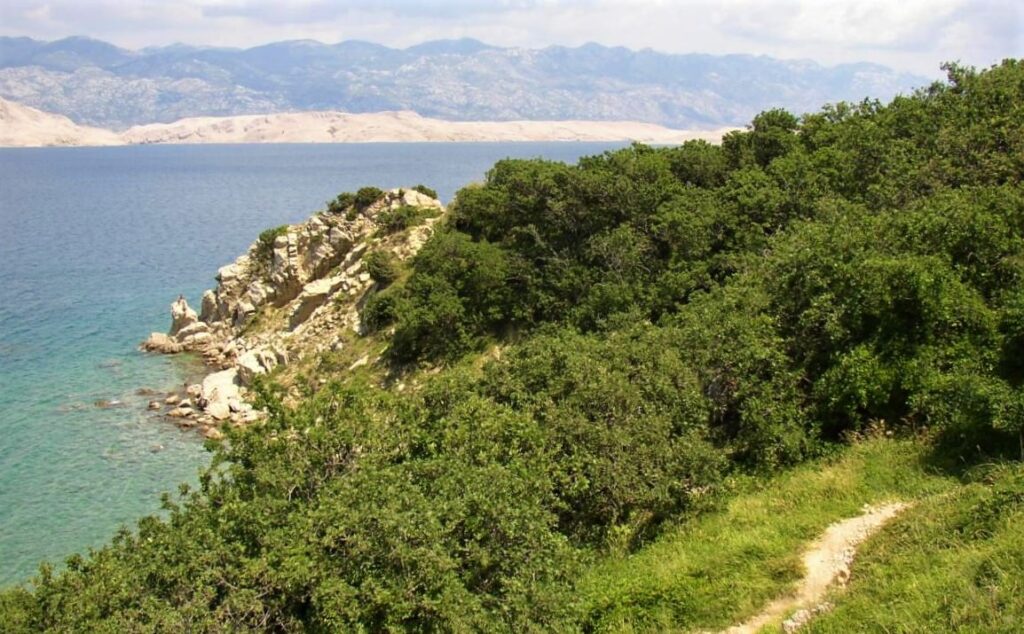 Radio Pag Poseban rezervat Dubrava Hanzine Pag