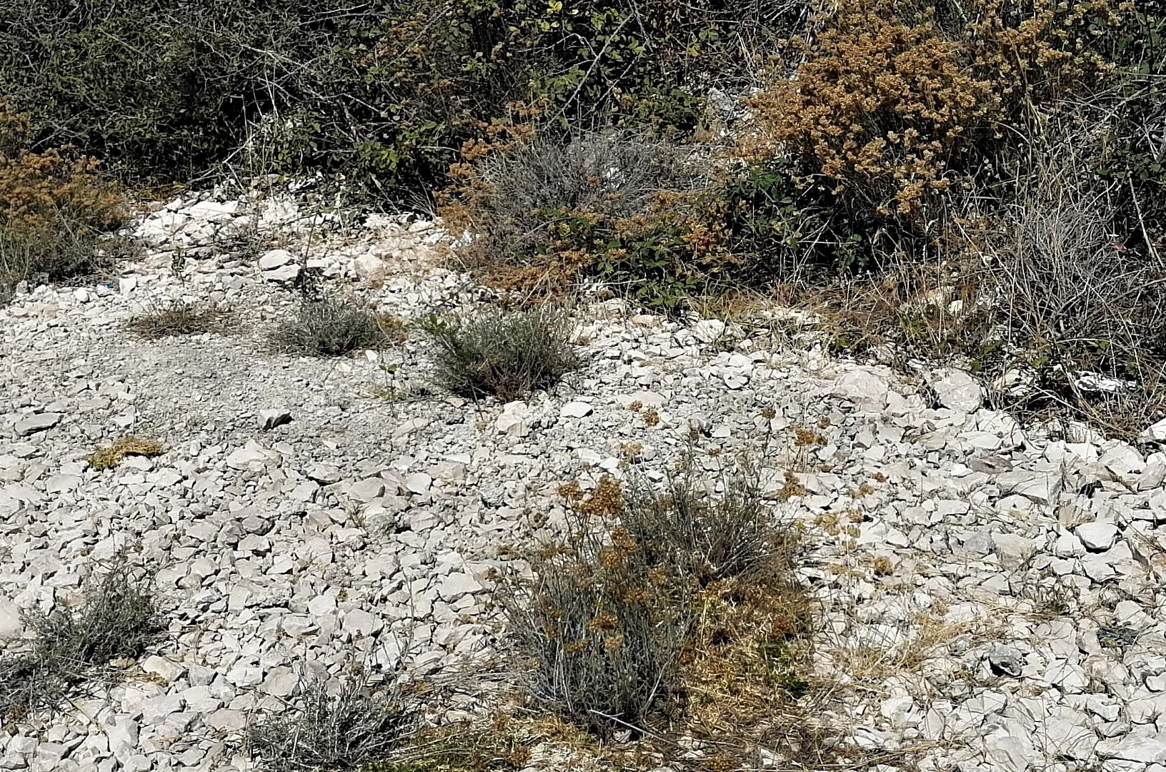 Na Pagu je velika suša, ali pitke vode, koja na otok dolazi s kopna, ima dovoljno