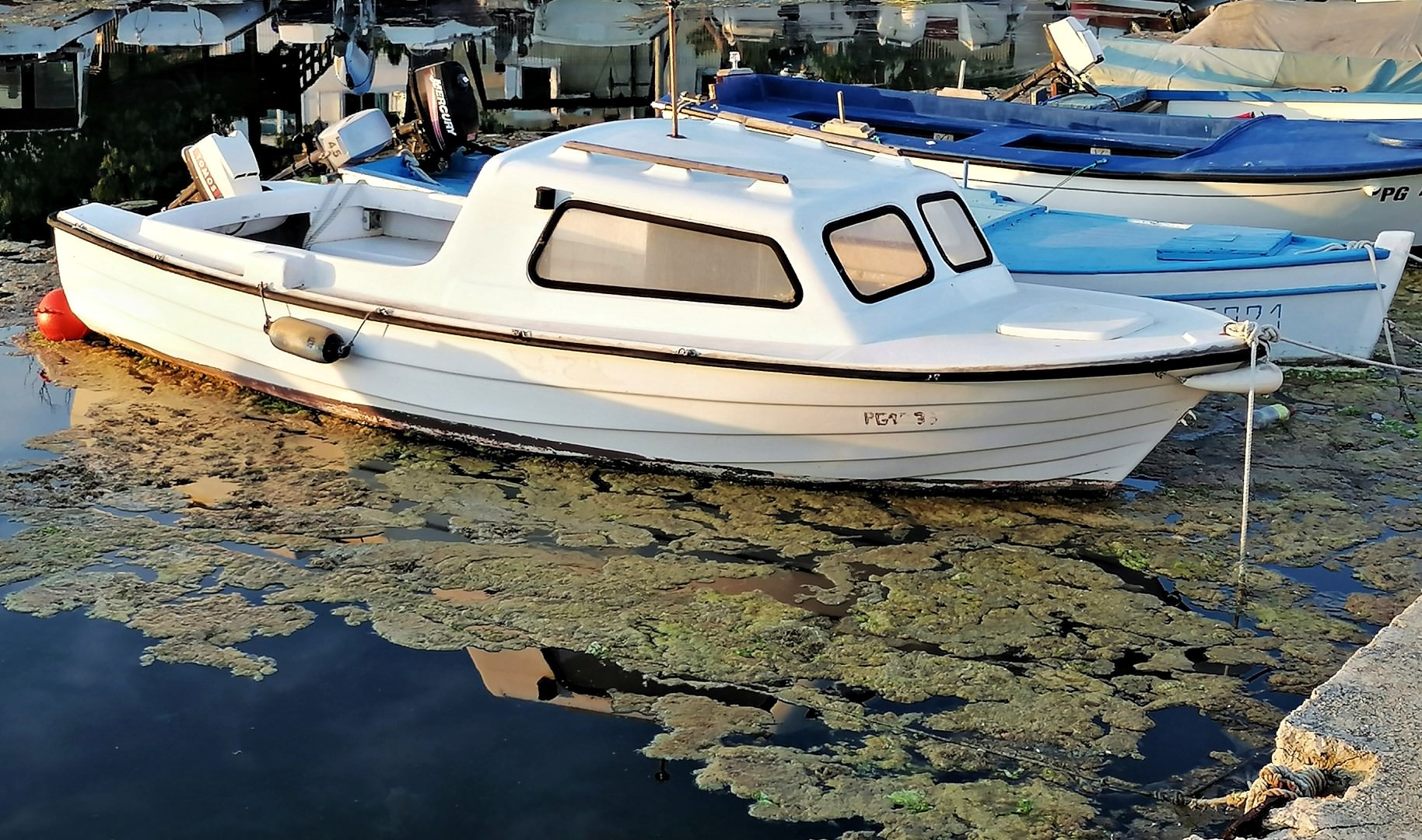 Procvjetalo more zagospodarilo je paškom Južnom valom