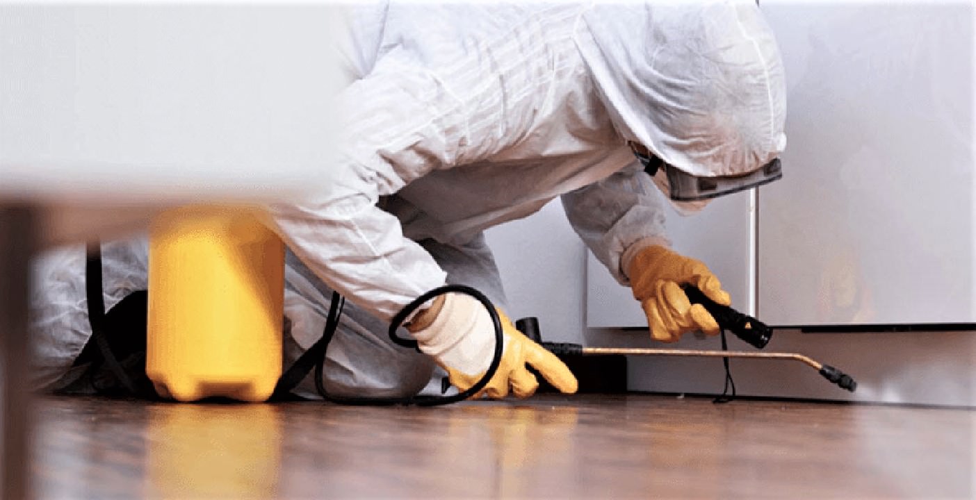 Deratizacija na području Grada Paga od 23. do 27. svibnja