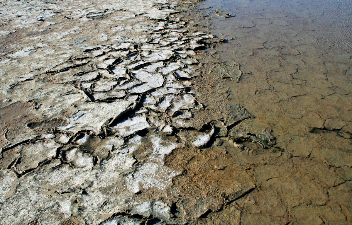 Dolazi jesen s toplotnim udarima i nastavkom suše, navodi se u prognozi AccuWeathera