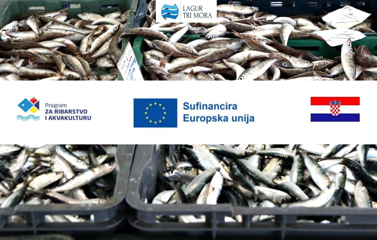 U Pagu će se 27. rujna održati radionica na temu lokalne razvojne strategije u ribarstvu
