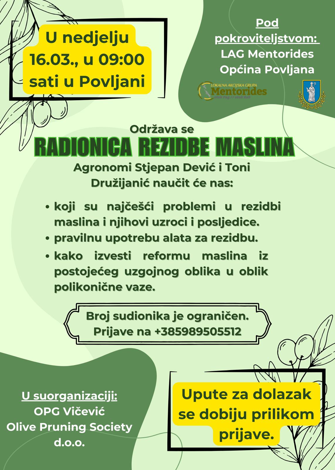 Radionica rezidbe maslina u Povljani, 16.3.