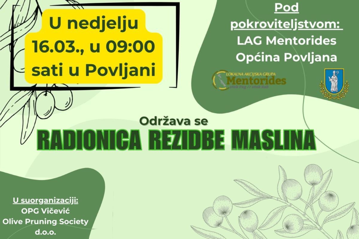 Radionica rezidbe maslina u Povljani