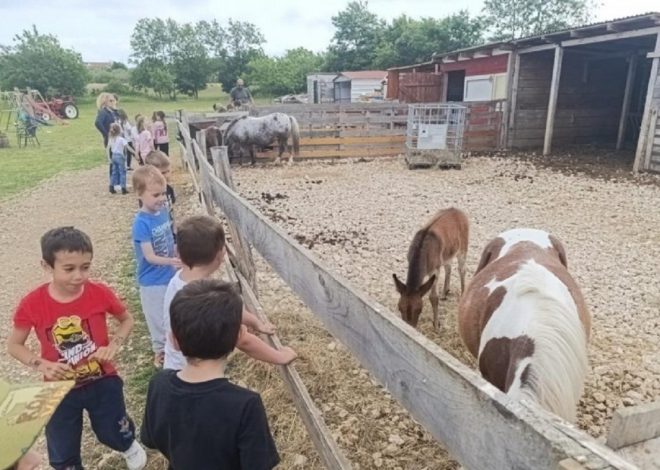Mali Tići posjetili ranč Ponyland u Smokoviću – dan ispunjen učenjem, smijehom i konjima