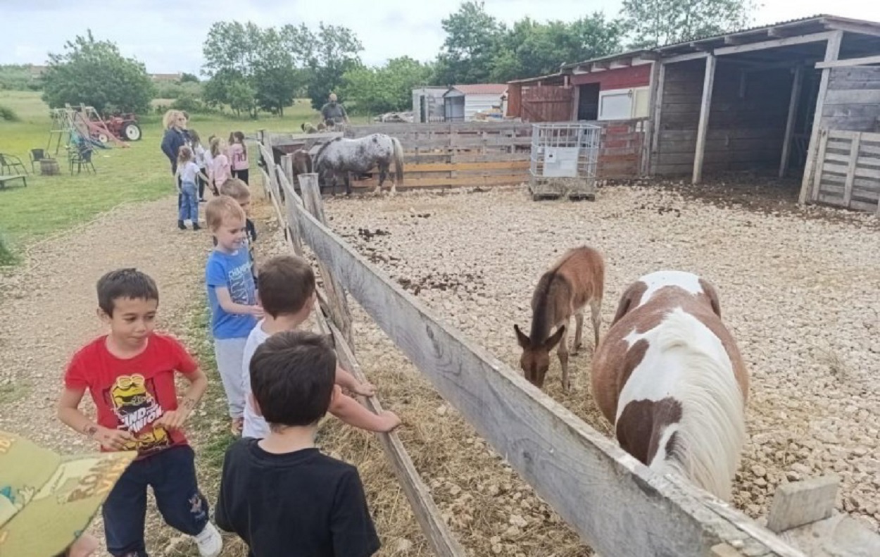 Mali Tići posjetili ranč Ponyland u Smokoviću – dan ispunjen učenjem, smijehom i konjima