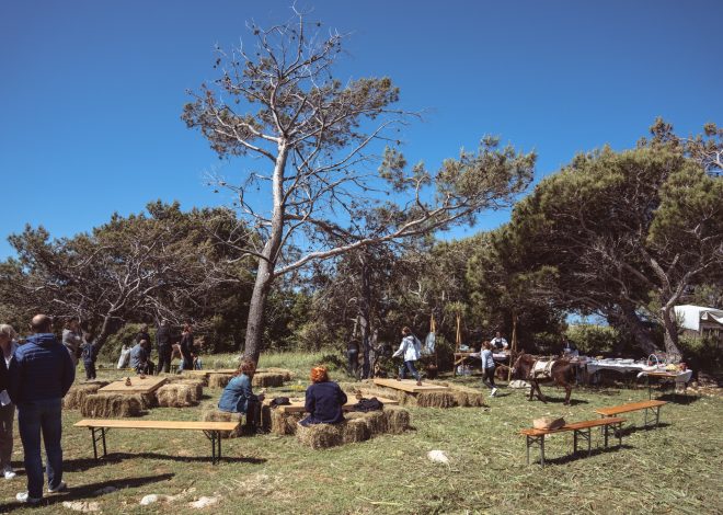 Priroda, tradicija i zajedništvo u Kolanu: Održani Birdwatching i Težačka marenda