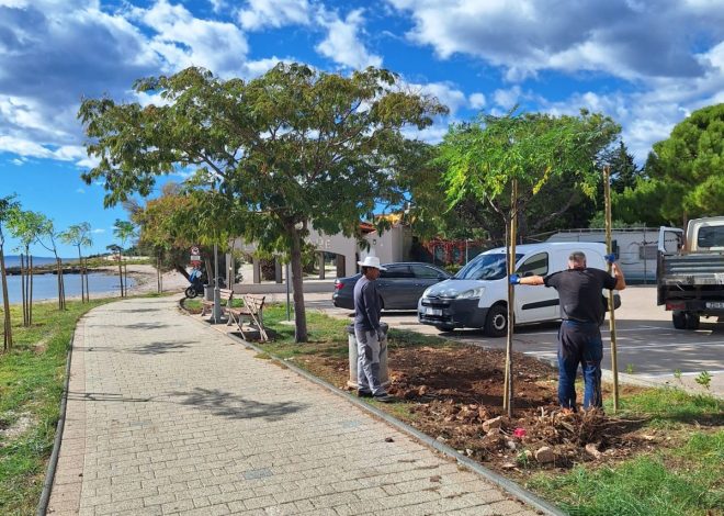 Povljana: Ozelenjivanje javnih površina