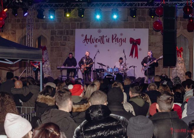 Dalmatino “užga” Pijacu na početku Adventa