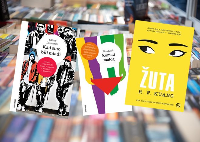 Književnost milenijalaca