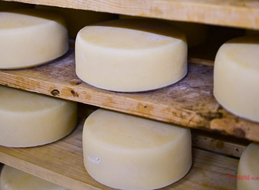 “Croatian Goat Cheese Team“ u Francuskoj sudjeluje na stvaranju najveće plate kozjih sireva na svijetu