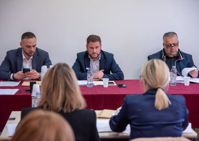 Vijećnička pitanja s Gradskog vijeća: Dizalica za brodice, pedijatar, ceste, dom za starije