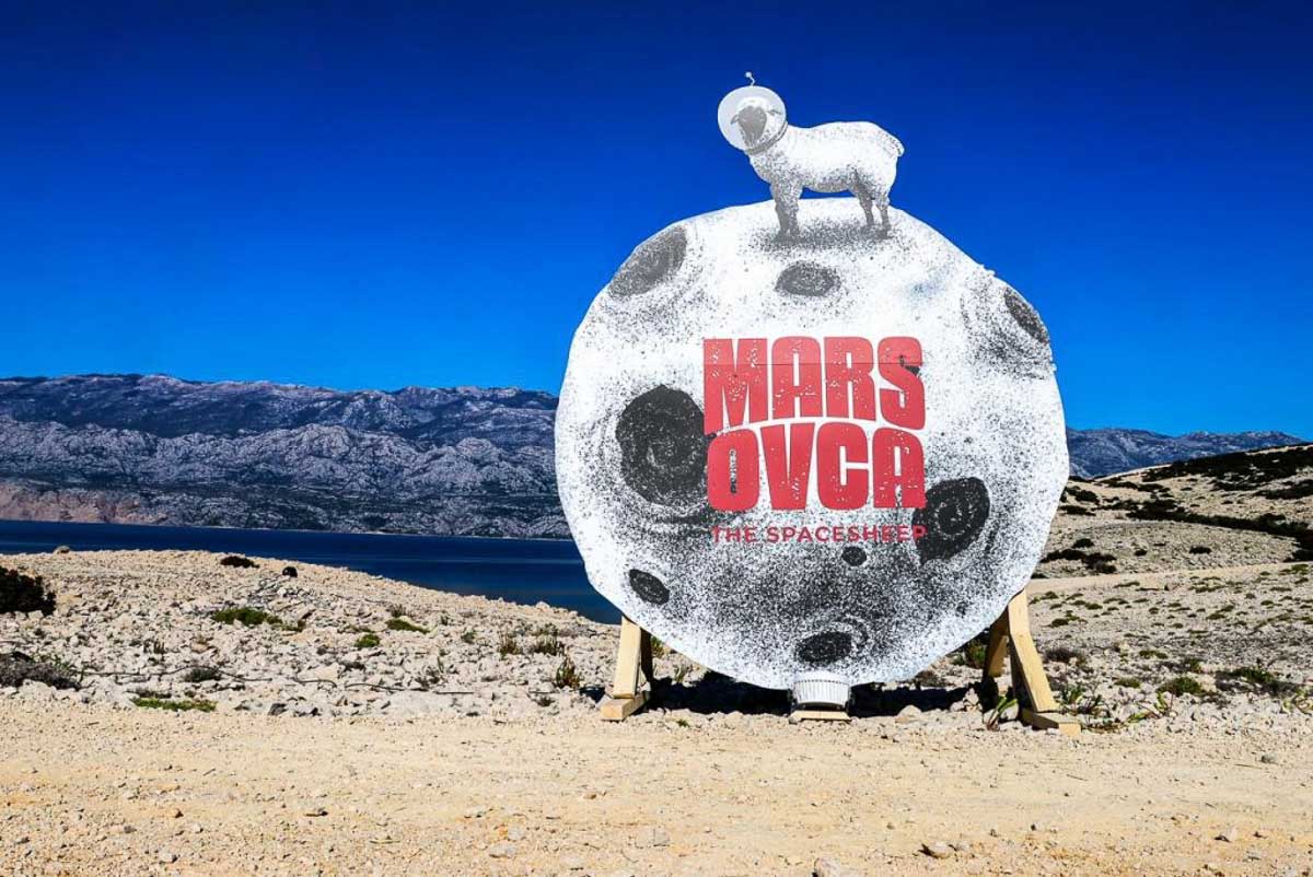 MarsOvca – gastro posveta paškoj ovci