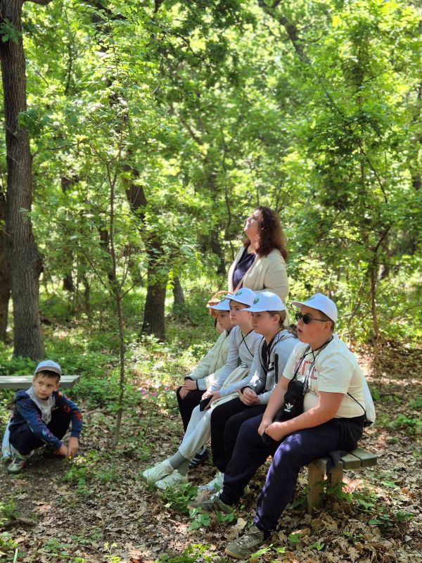 Foto: Udruga Volim Vlašići