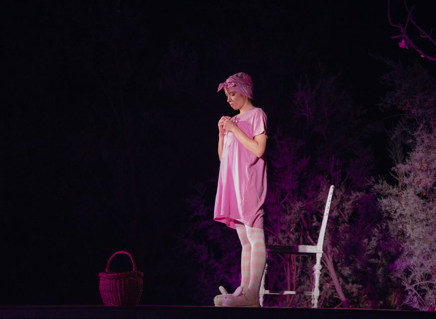 Monodrama Žlica Steinberg oduševila publiku u Pagu