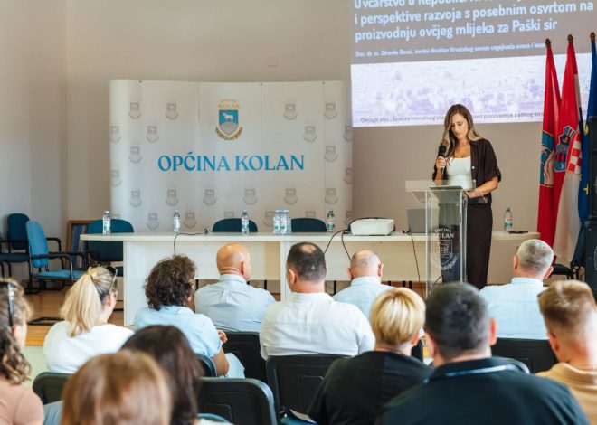 Uoči Fešte od sira u Kolanu održan stručni skup o budućnosti paškog sira