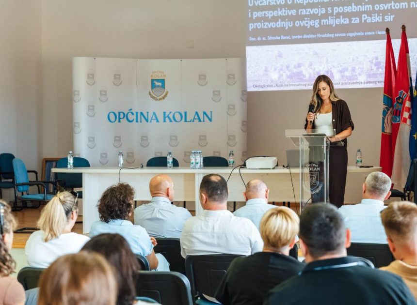 Uoči Fešte od sira u Kolanu održan stručni skup o budućnosti paškog sira