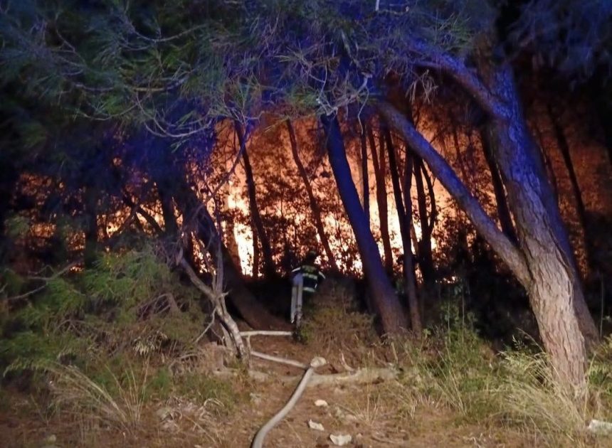 Požar kod Zrća lokaliziran nakon višesatne intervencije