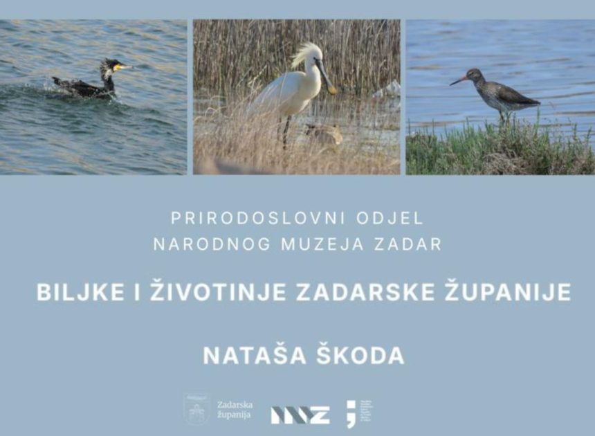 Izložba „Biljke i životinje Zadarske županije – Nataša Škoda“ u zadarskoj Gradskoj loži