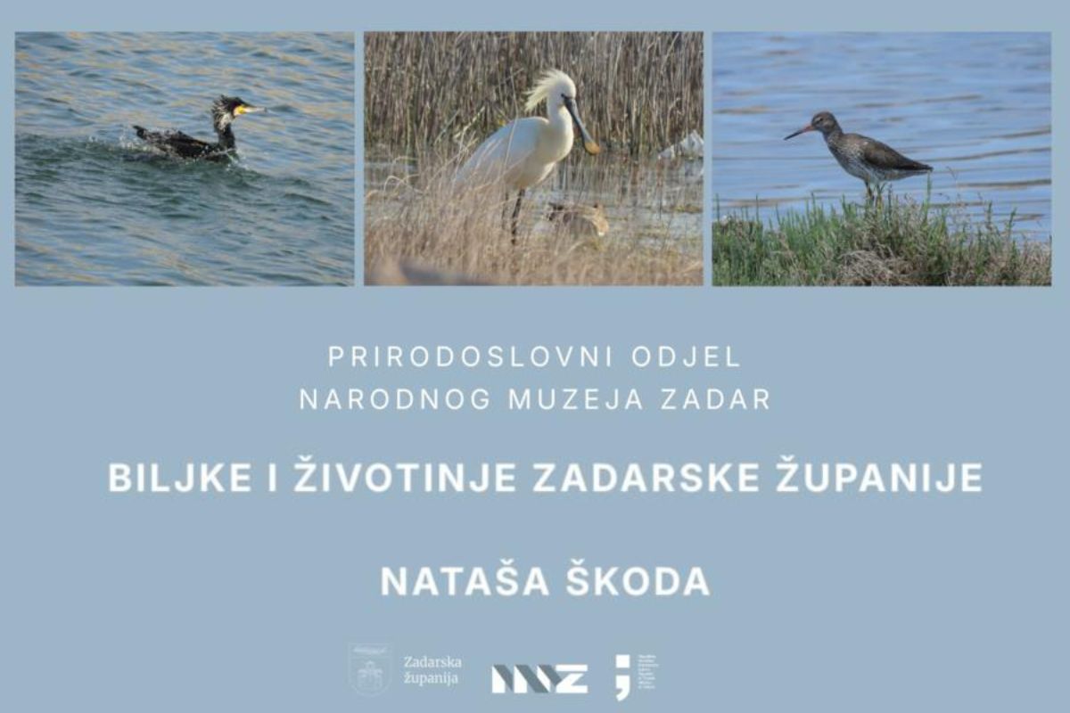 Izložba „Biljke i životinje Zadarske županije – Nataša Škoda“ u zadarskoj Gradskoj loži