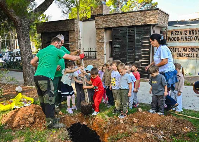Novalja sadi budućnost: 18 novih stabala za zeleniji otok, a najmlađi učili kako čuvati prirodu