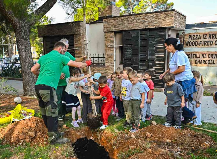 Novalja sadi budućnost: 18 novih stabala za zeleniji otok, a najmlađi učili kako čuvati prirodu