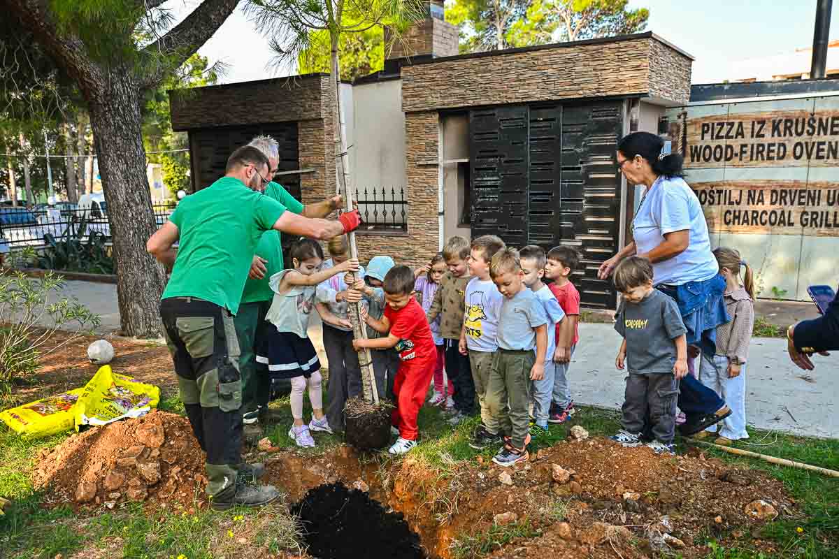 Novalja sadi budućnost: 18 novih stabala za zeleniji otok, a najmlađi učili kako čuvati prirodu