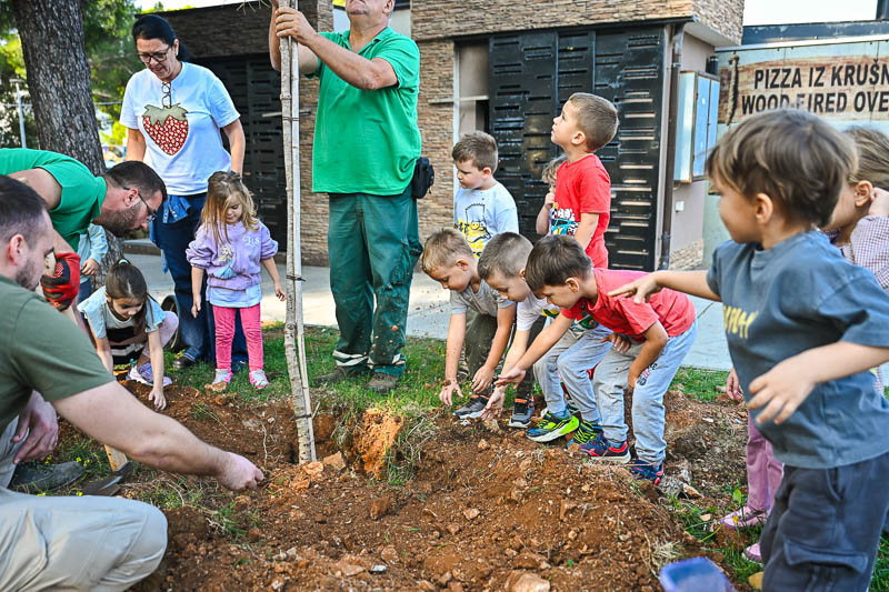 Foto: Visit Novalja