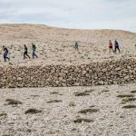 VIII. Life on Mars Trail
