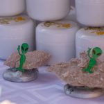 VIII. Life on Mars Trail