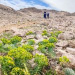 VIII. Life on Mars Trail