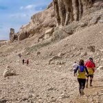 VIII. Life on Mars Trail