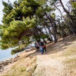 VIII. Life on Mars Trail