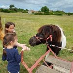 TIĆI NA RANČ PONYLAND