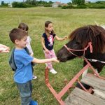 TIĆI NA RANČ PONYLAND