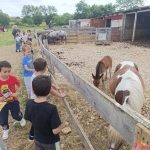 TIĆI NA RANČ PONYLAND