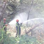 Foto: Hrvatska vatrogasna zajednica