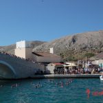 1. Plivački maraton „Oluja ‘95“