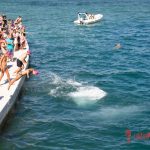1. Plivački maraton „Oluja ‘95“